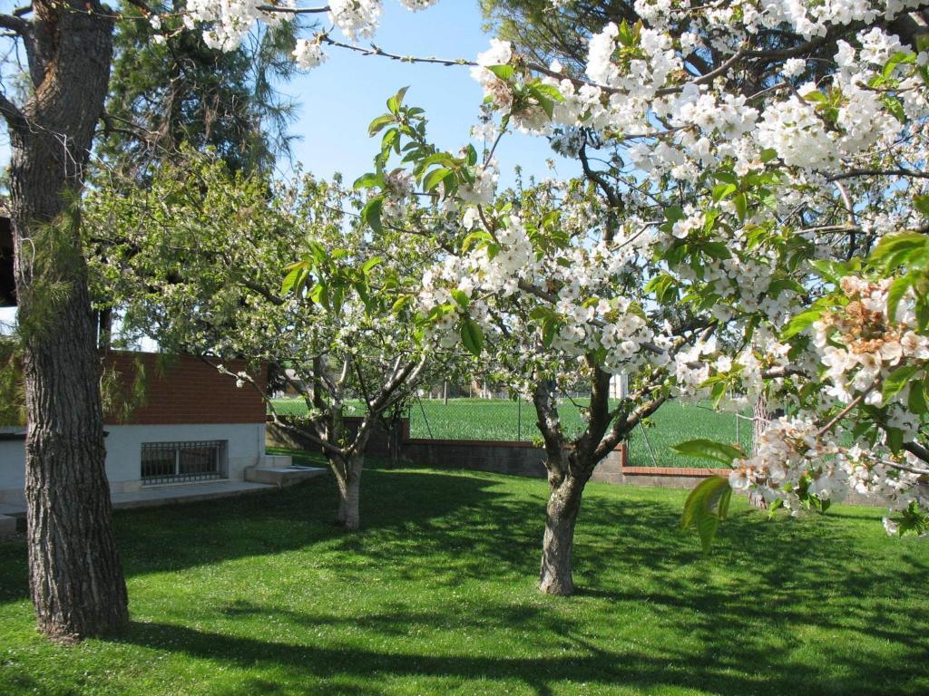 Bed & Breakfast Bompadre Civitanova Marche Zewnętrze zdjęcie