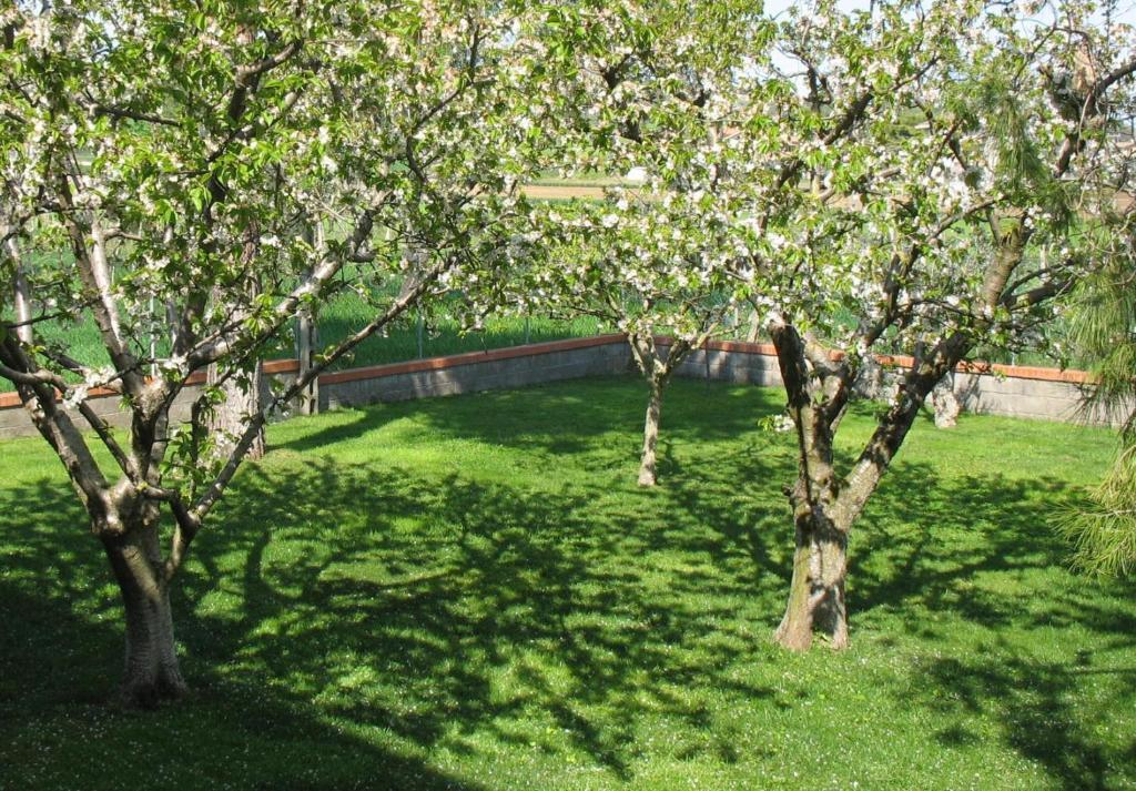 Bed & Breakfast Bompadre Civitanova Marche Zewnętrze zdjęcie